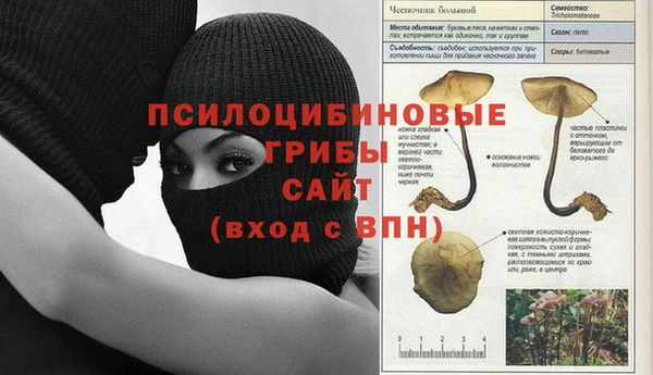 spice Краснослободск
