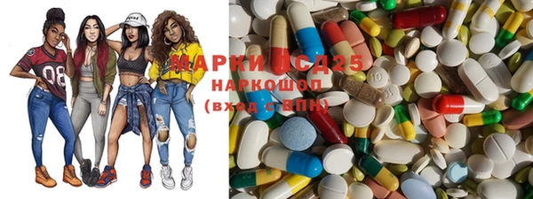 spice Краснослободск