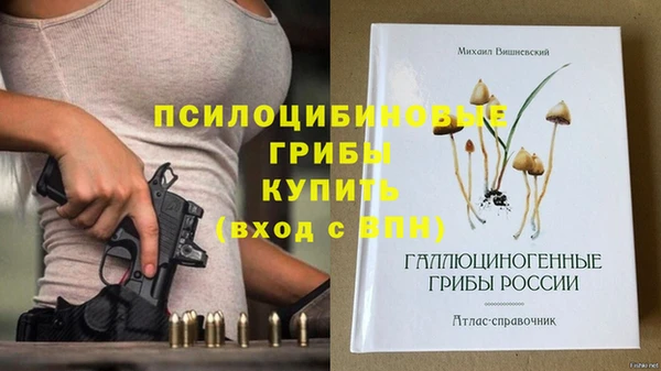 МДПВ Краснотурьинск