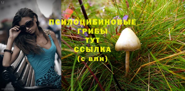 МДПВ Краснотурьинск