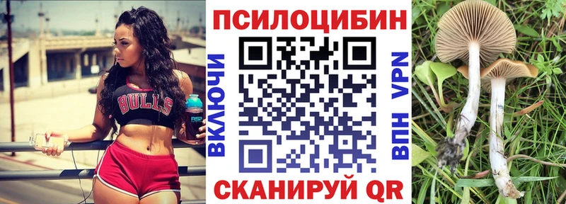 Псилоцибиновые грибы мухоморы  Купить закладки  Кузнецк 